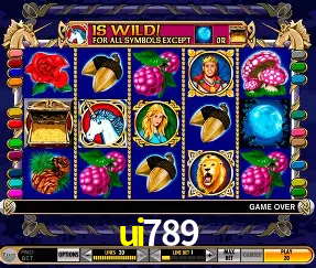 Descubra o Mundo do Cassino Online com ui789